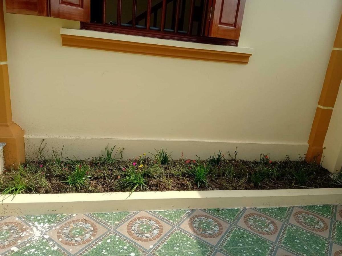 Linh Linh Homestay Ниньбинь Экстерьер фото